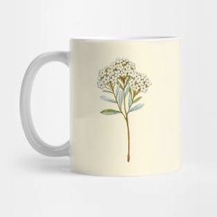 Nature Vintage Botanical Cream Flower Plant Watercolor Art Mug